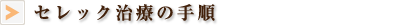 セレック治療の手順