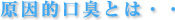 原因的口臭とは・・