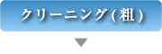 クリーニング（粗）