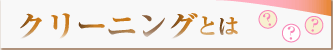 クリーニングとは