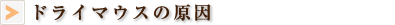 ドライマウスの原因