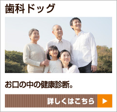 歯科ドッグ