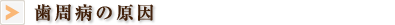 歯周病の原因
