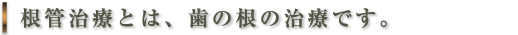根管治療とは、歯のへの治療です。